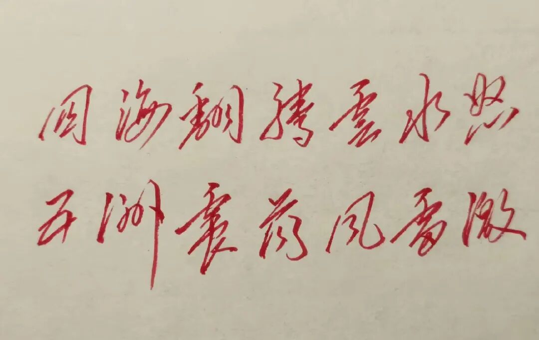 关于大二下学期主要计划与目标的讨论